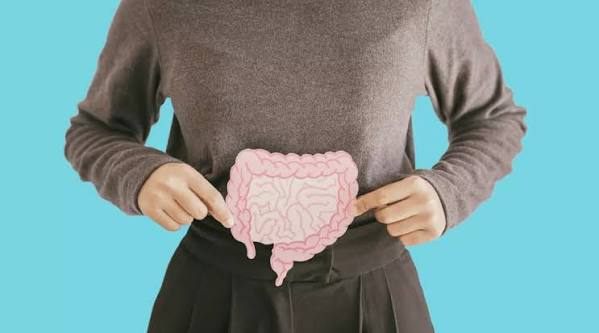 Person holds a pink cartoon digestive tract over their midsection against a teal background, illustrating the intestines inside the body region on display for educational purposes.