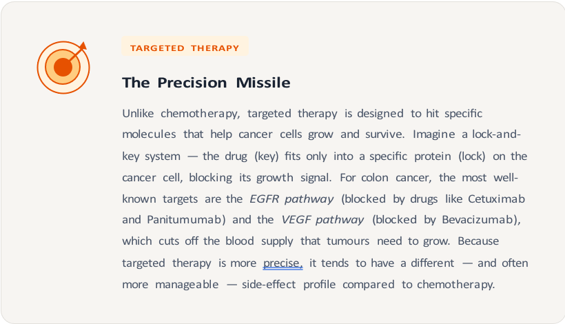 Screenshot 2026-06-05 063956 Educational card about targeted therapy with target icon; title 'The Precision Missile' and a paragraph explaining EGFR/VEGF pathways and the benefits of precision therapy