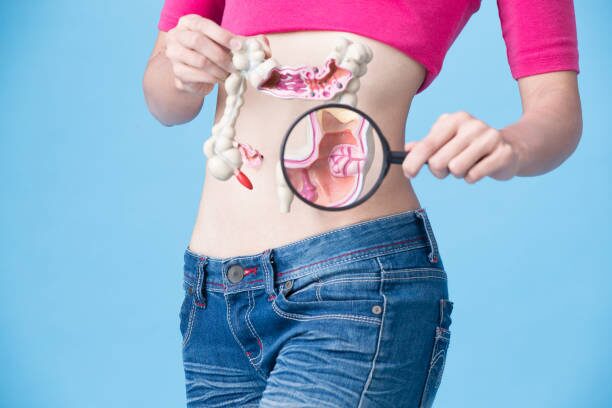 image7 Person's midsection with a plastic digestive system model held against the abdomen; a magnifying glass enlarges the pelvic intestines.